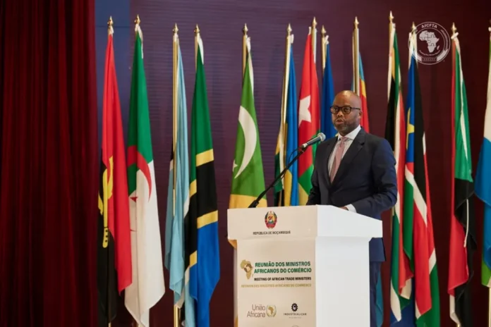 Africa Agrees Common Trade Position for WTO Ministerial in Yaoundé