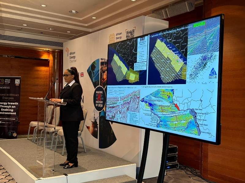 Liberia’s Energy Potential: Insights from the Invest in African Energy 2024 Reception